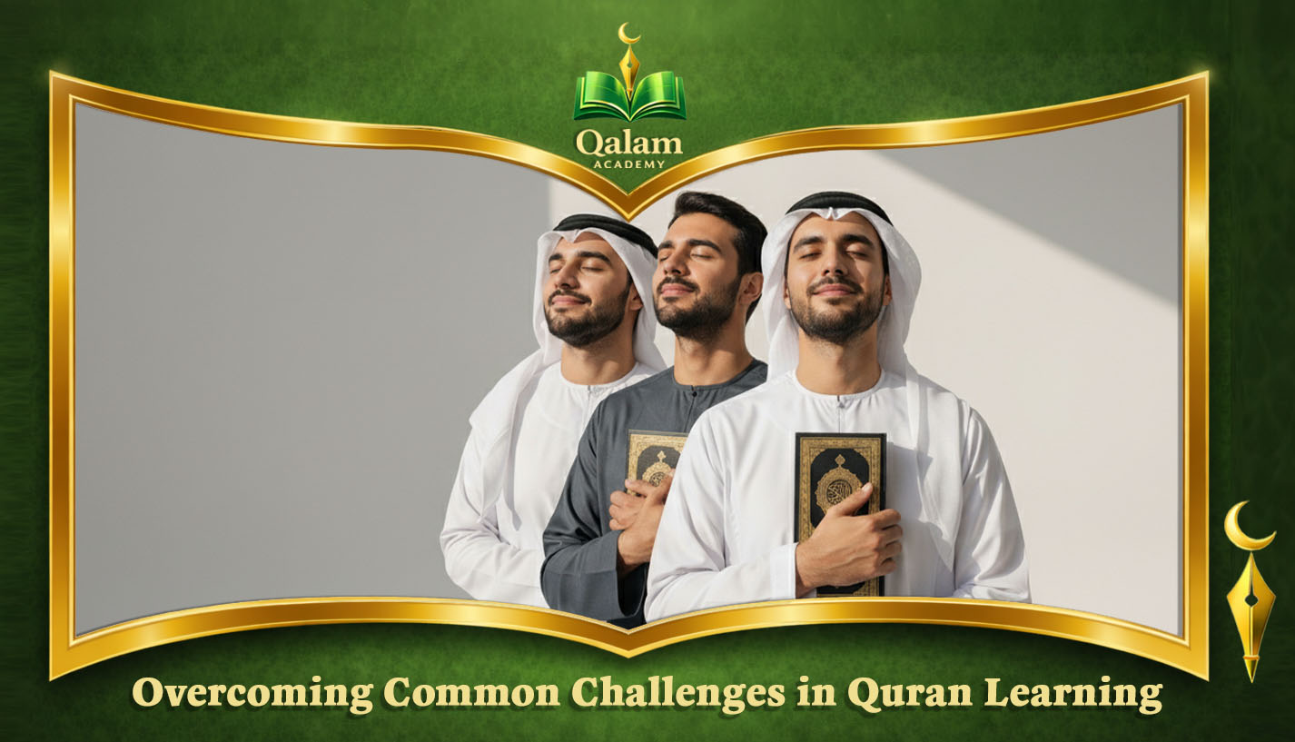 Study Quran Online